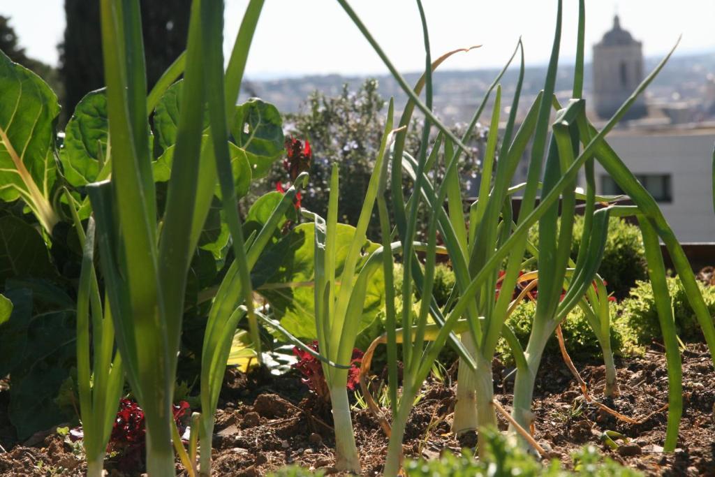 Villa Montjuic Girona Exteriér fotografie